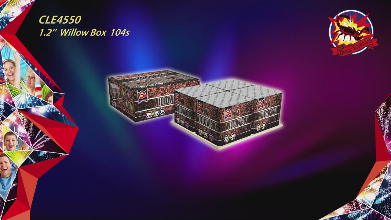 104 coups– Willow box